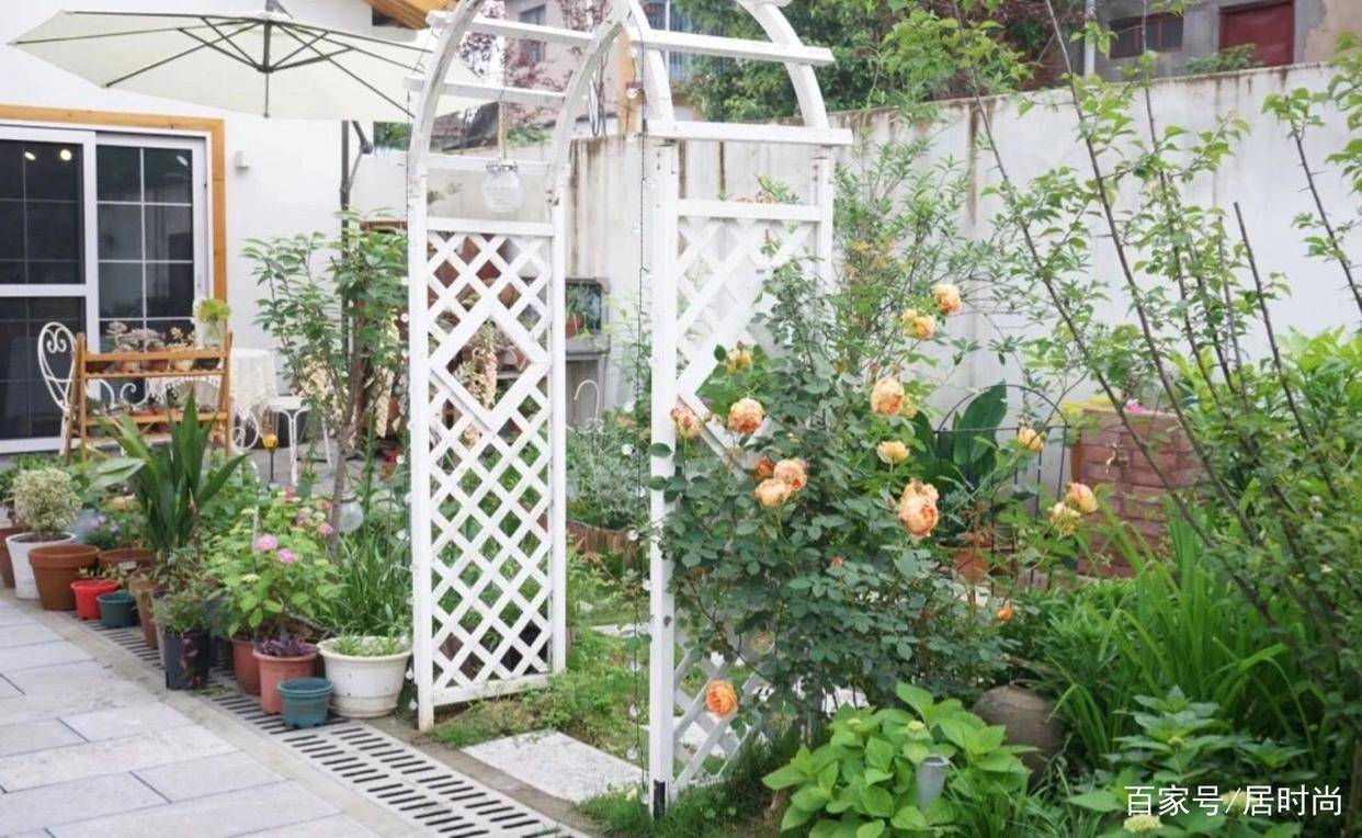 IM电竞花25万把一个80年代的农村破旧老房子DIY改造成花园小屋(图6)