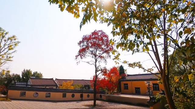 游览武汉黄陂大山里一座花乡景区：遍布古朴建筑宛若江南庭院(图7)