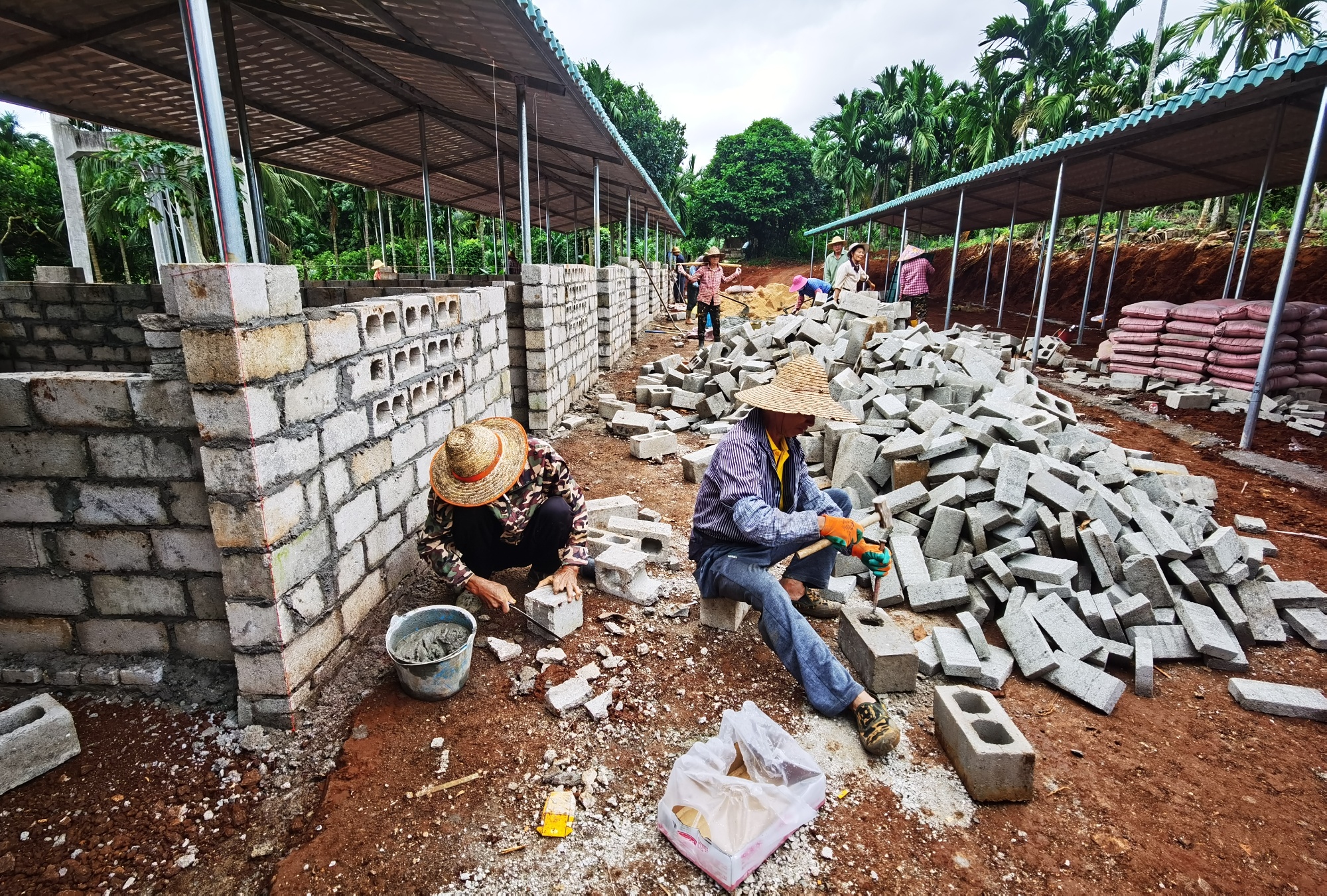 海口市琼山区实施“IM电竞净美绿”工程推动和美乡村建设(图2)